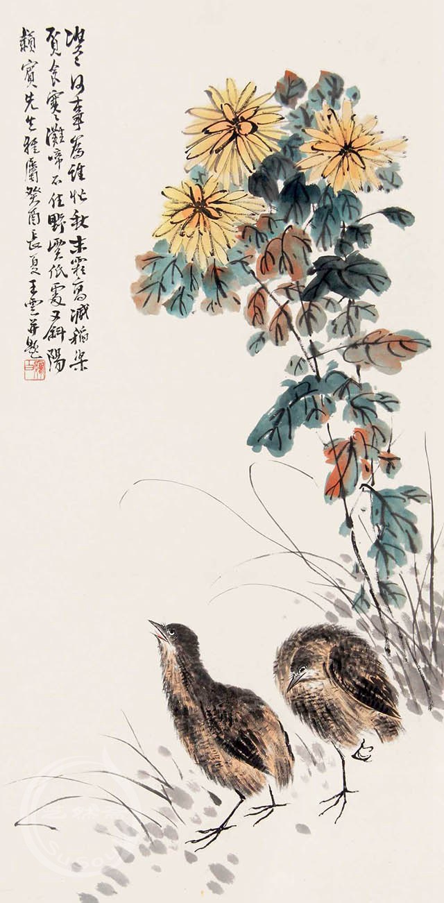 王梦白菊花鹌鹑图