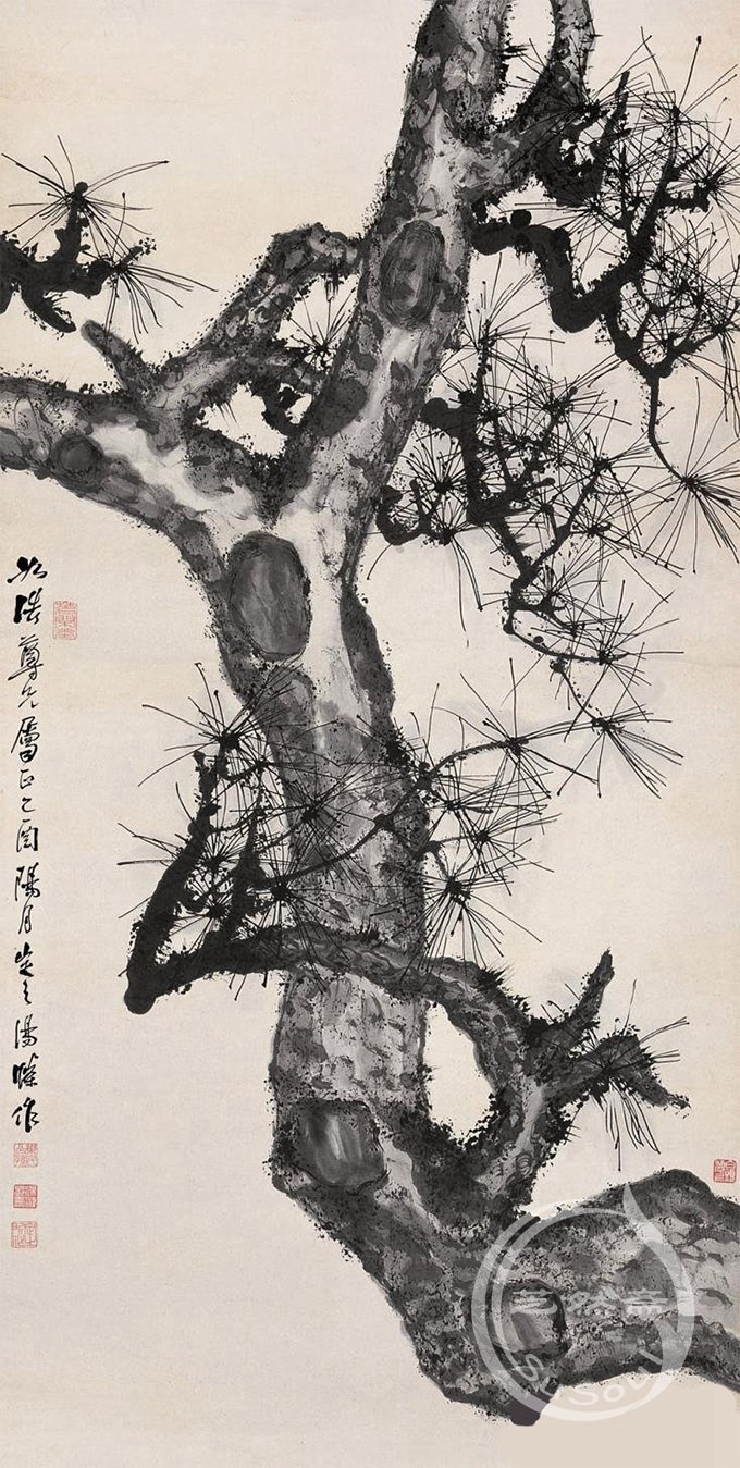 汤涤《老松图》