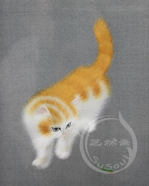 异色波斯猫