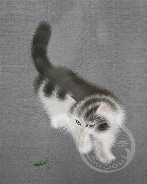 异色波斯猫