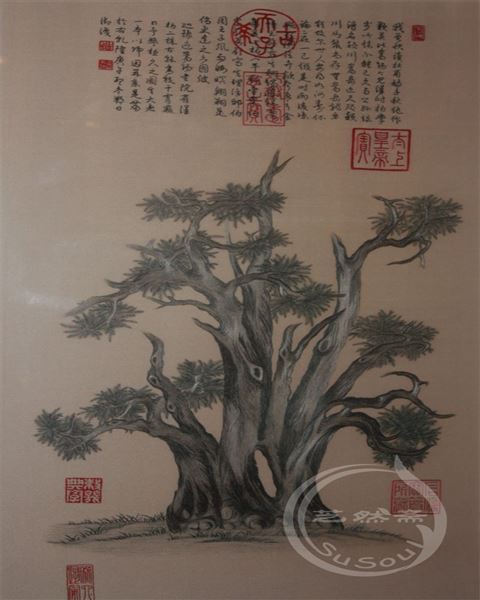 嵩阳汉柏图