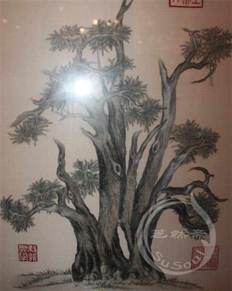 嵩阳汉柏图