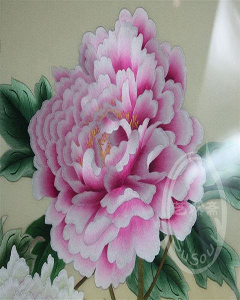 天香牡丹