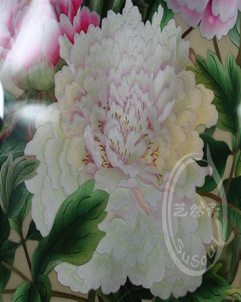 天香牡丹