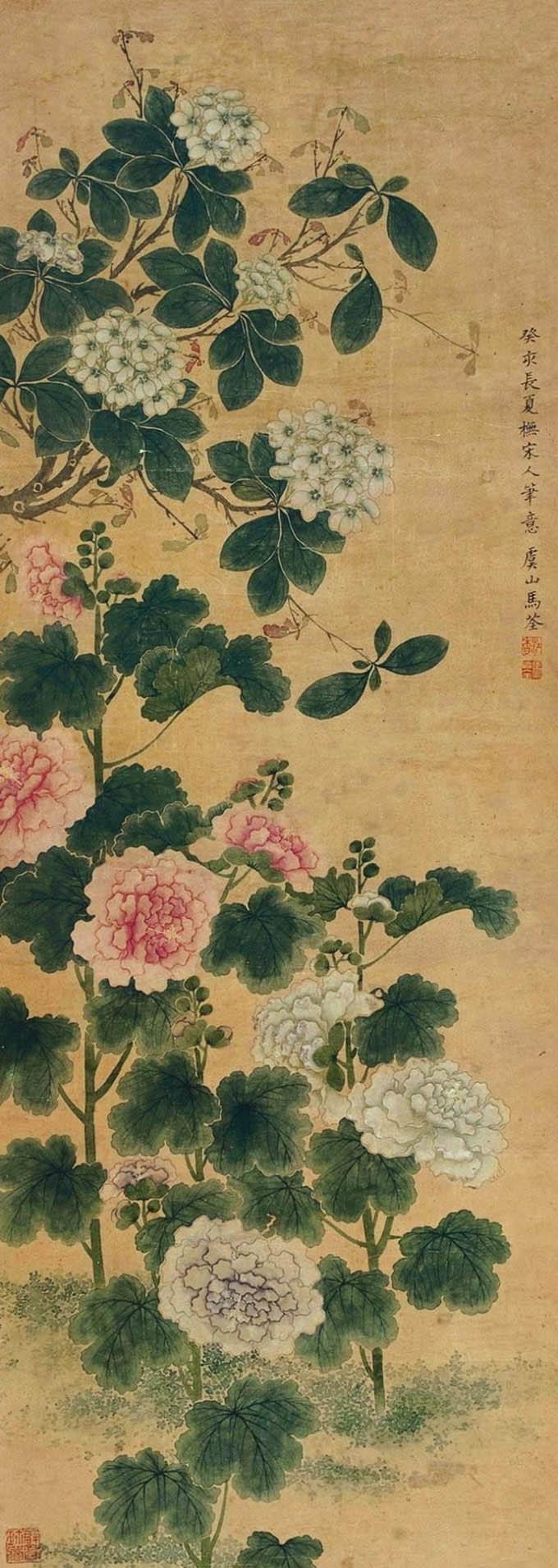 马荃 《芙蓉绣球》