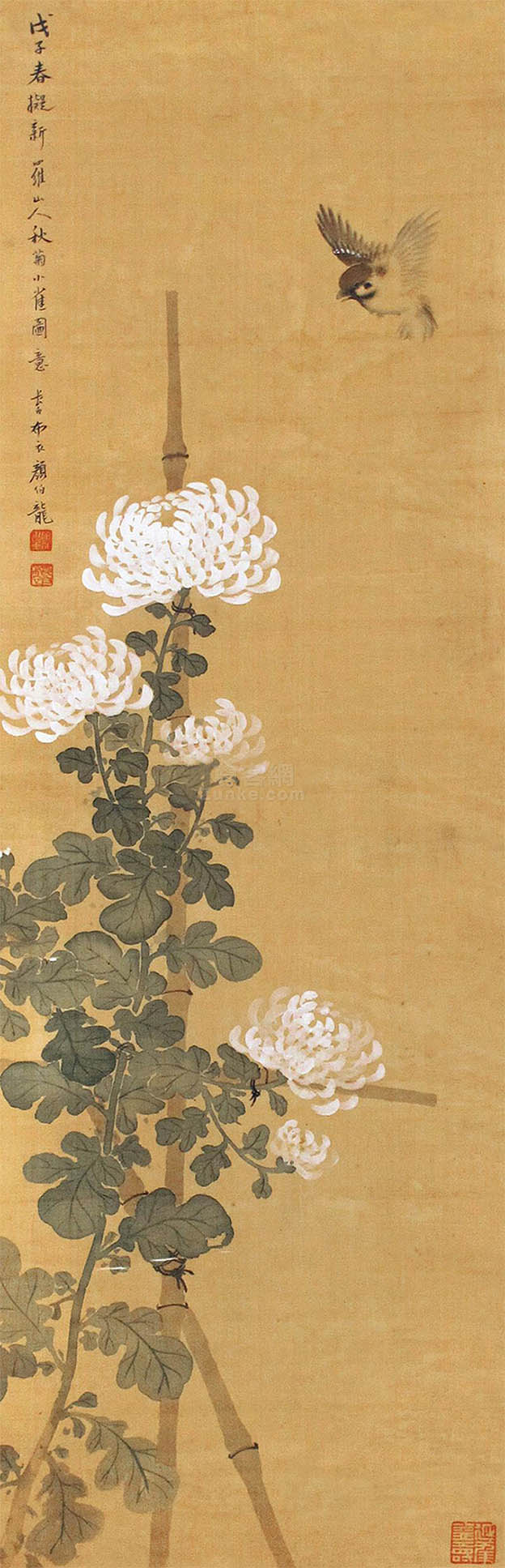 颜伯龙 《菊清图》