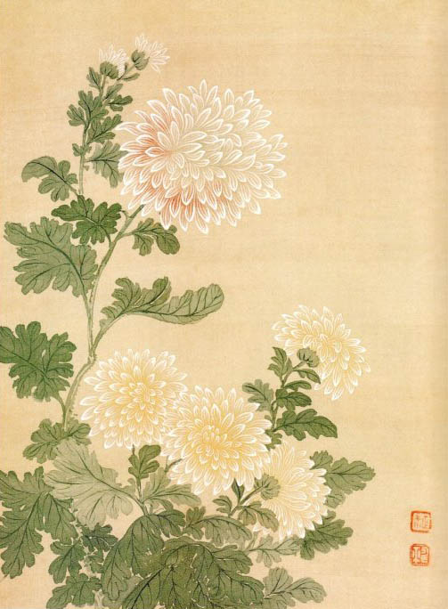 恽寿平 《黄菊花》