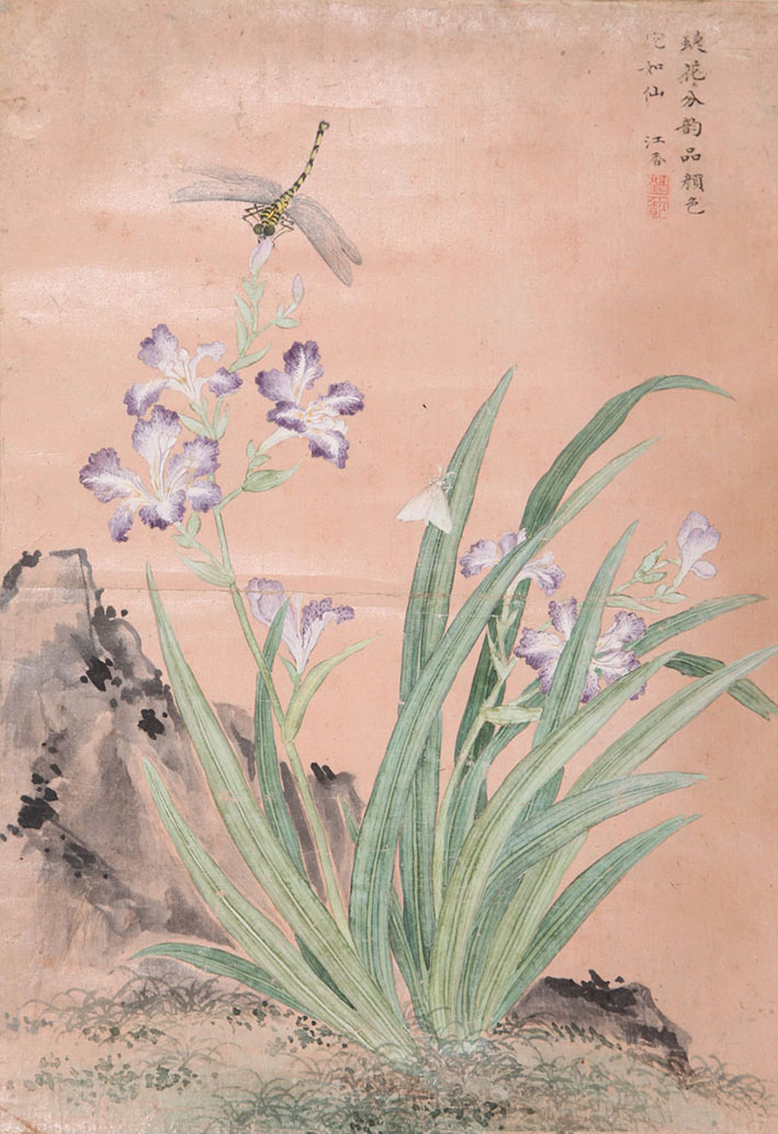 马荃 《鸢尾蝴蝶》