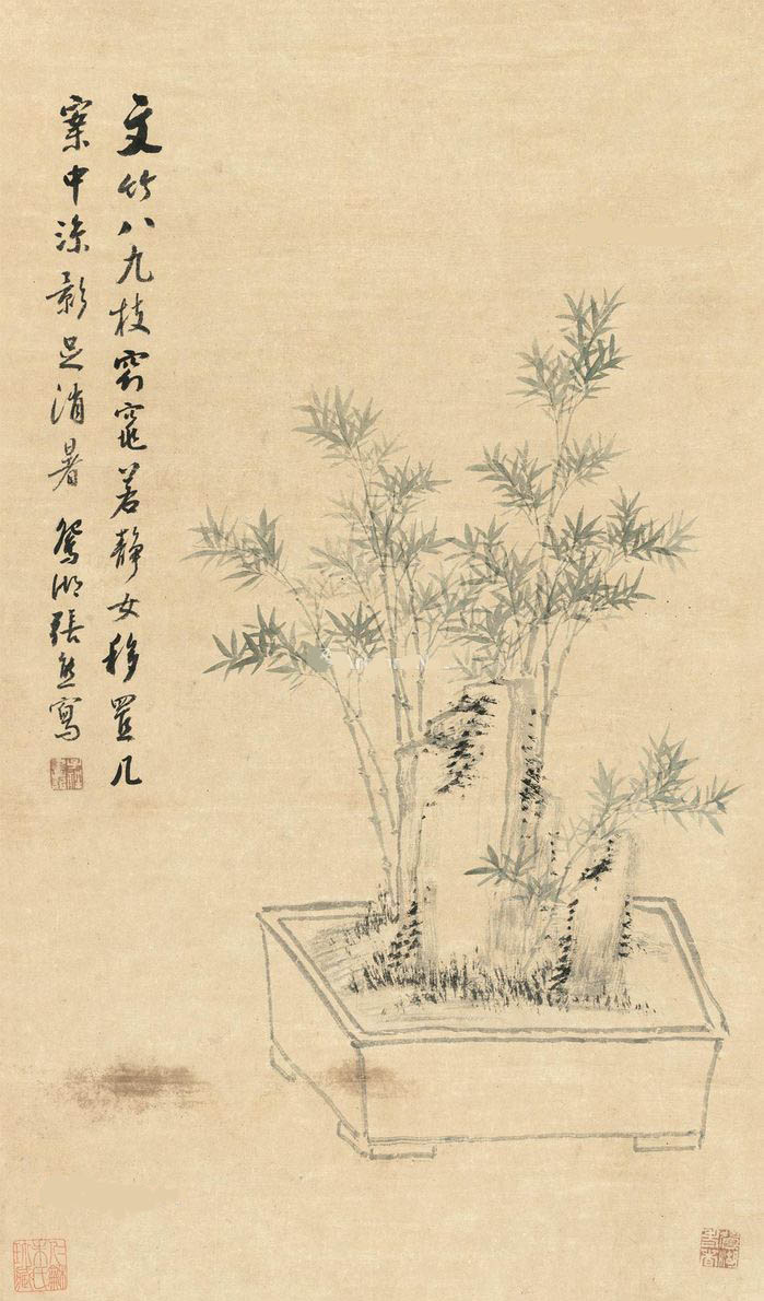 张熊 《文竹》