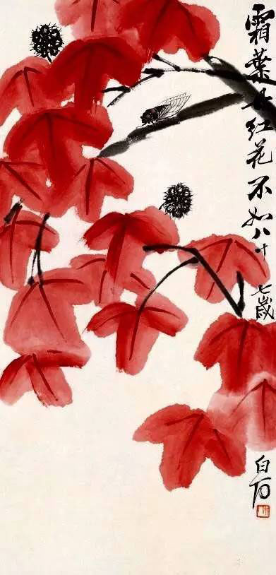 齐白石 《霜叶丹红花不如》