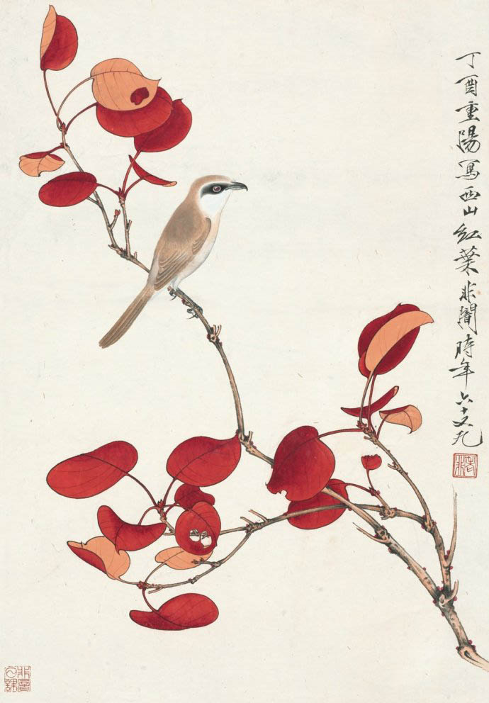 于非闇 《红叶伯劳》