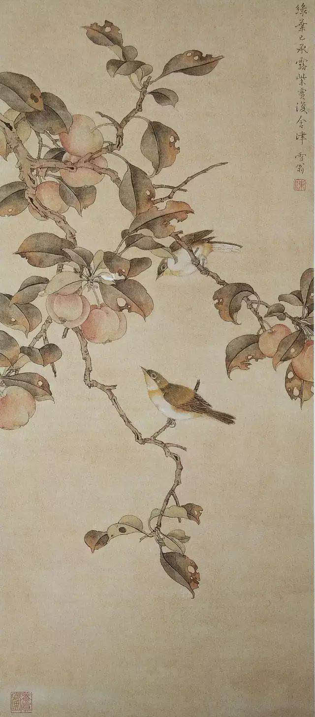 陈之佛 《绿云承露紫实含津》