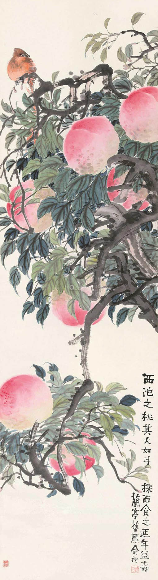 俞礼 《西池之桃》