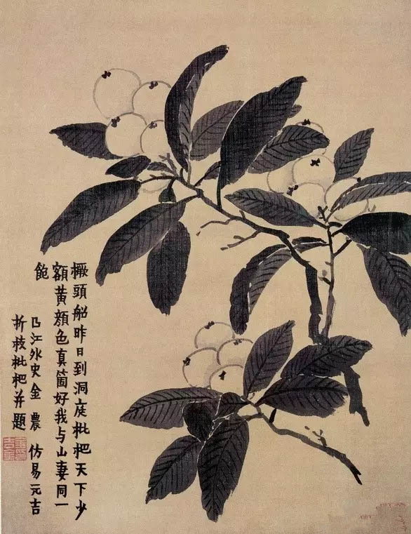 金农 《洞庭枇杷天下少》