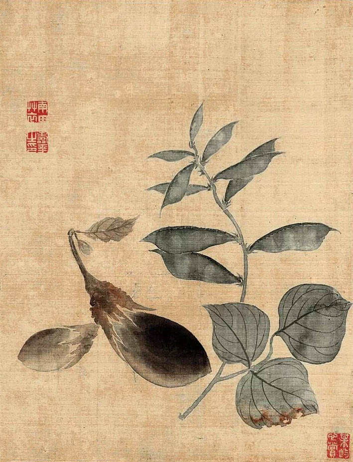 恽寿平 《茄子》