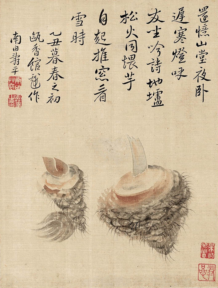 恽寿平 《芋头》