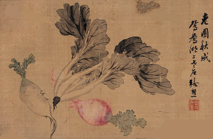 张熊 《老圃秋成》