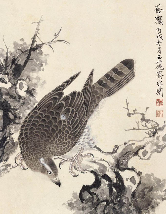 于非闇 《苍鹰》