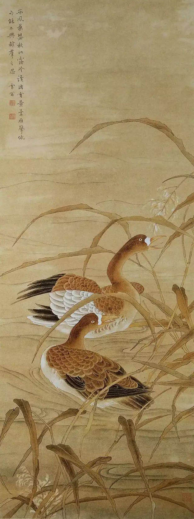 陈之佛 《秋江露冷》