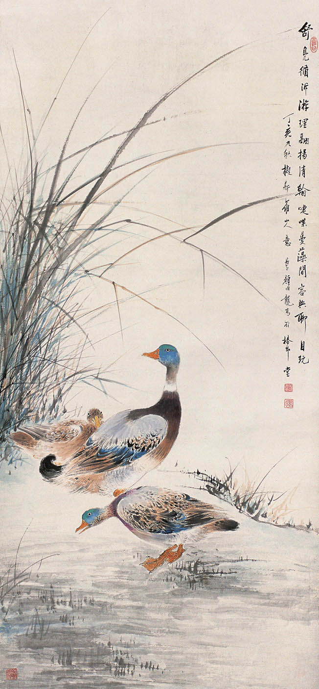 颜伯龙 《舒凫图》