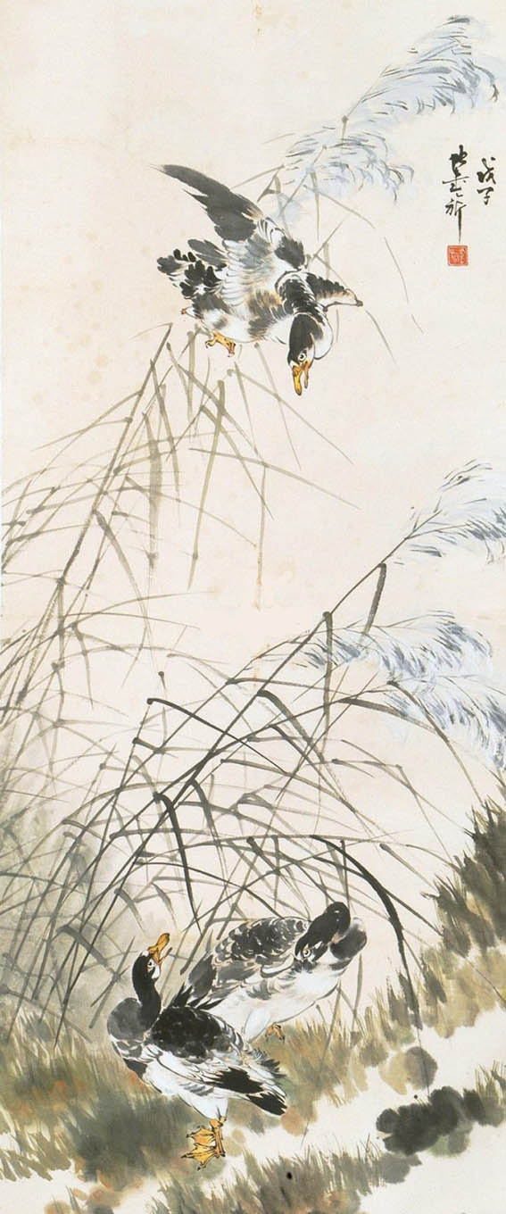 张书旂 《芦雁图》