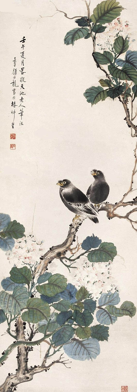 颜伯龙 《绣球花八哥》