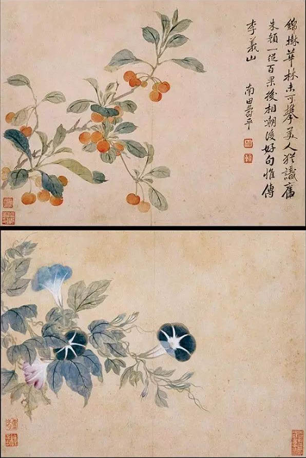 恽寿平 《花卉》册页八帧