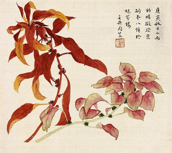 周笠 《雁来红》