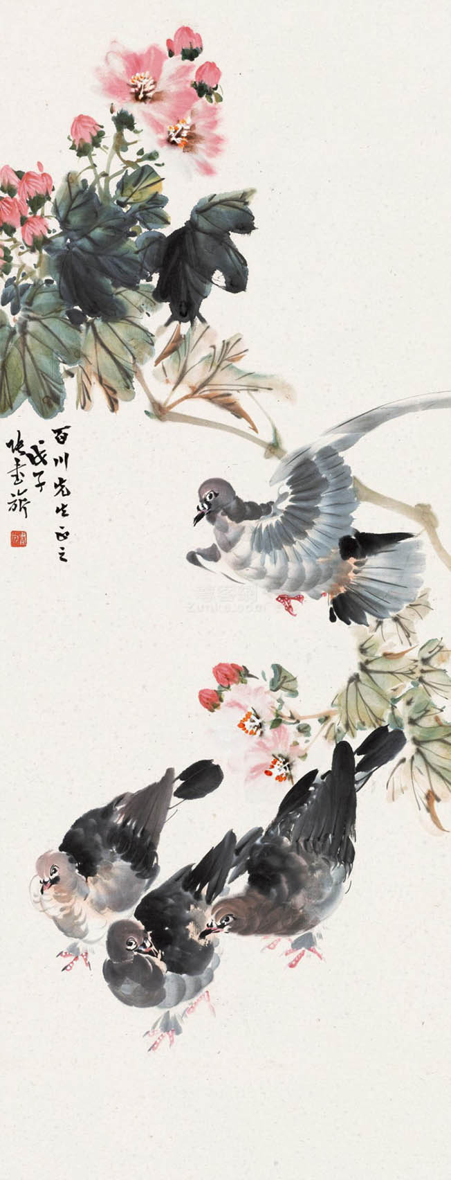 张书旂 《芙蓉鸽子》