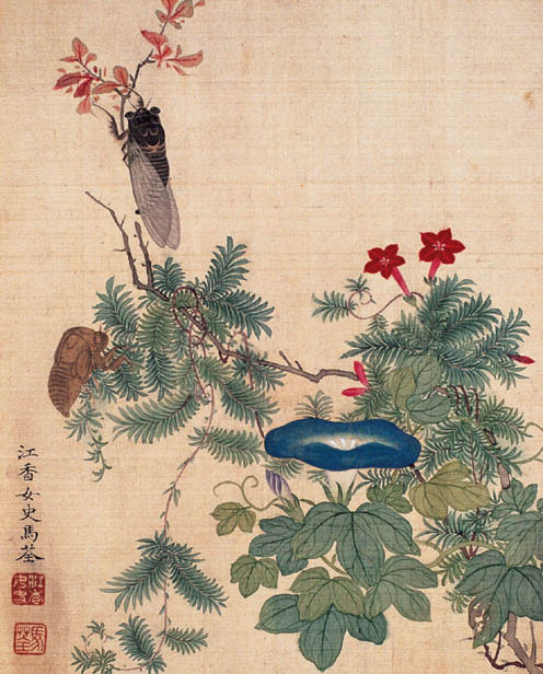 马荃 《金蝉脱壳》