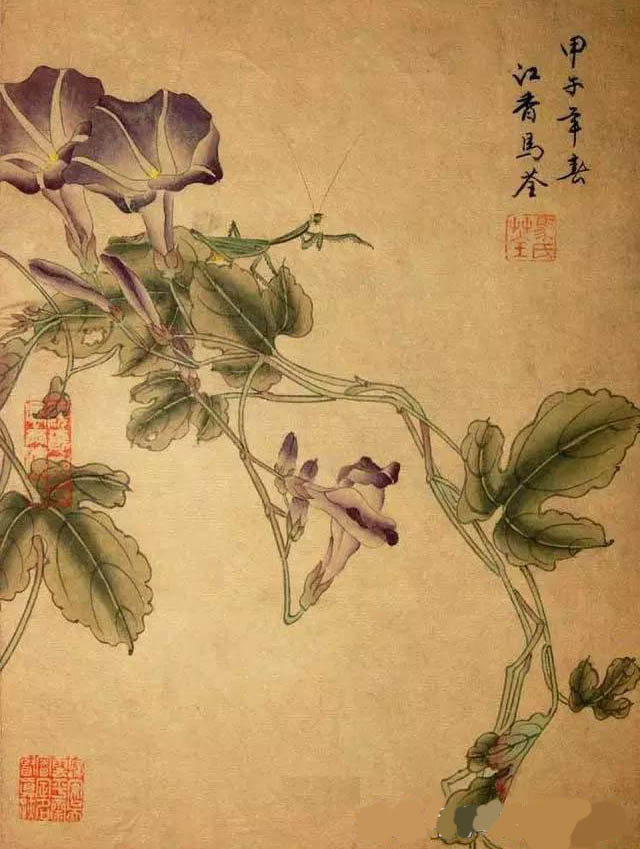 马荃 《牵牛花螳螂》