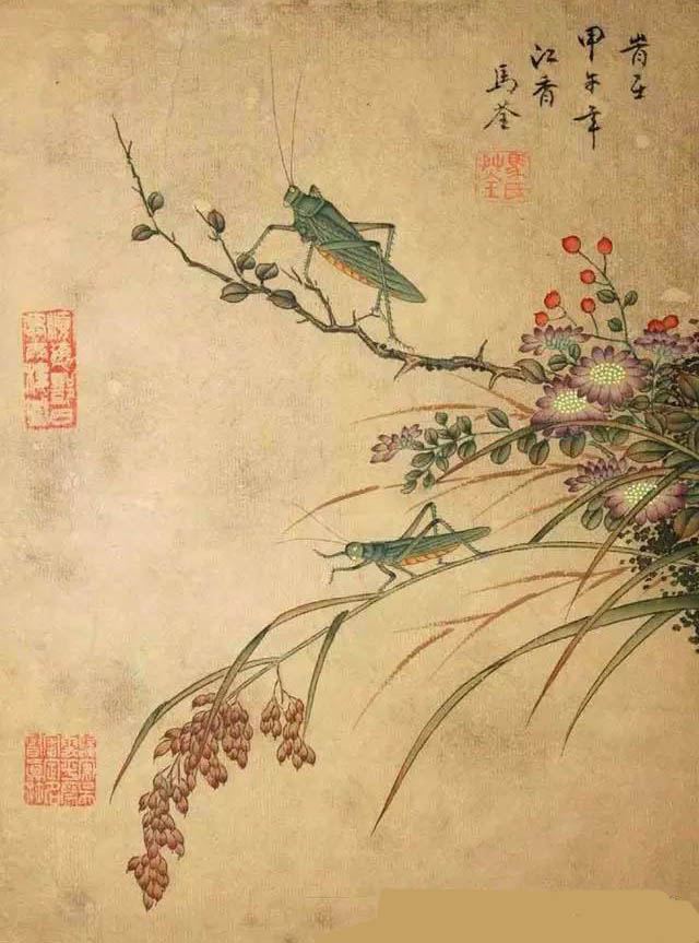 马荃 《稻穗蝗虫图》