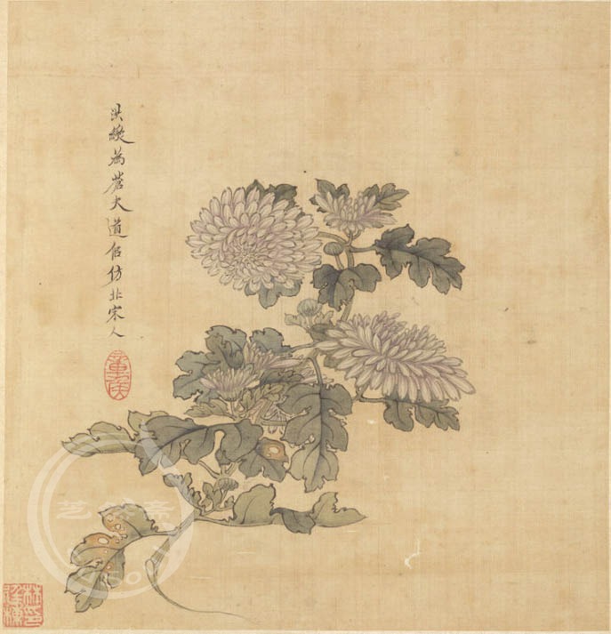 陈洪绶 《菊花》