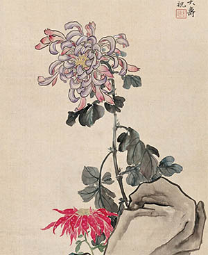金城 《菊寿》
