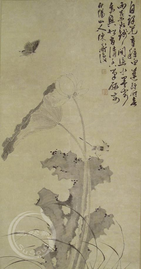 陈淳 《白莲》