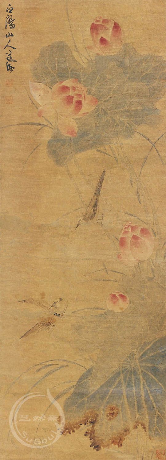 陈淳 《荷花翠鸟》
