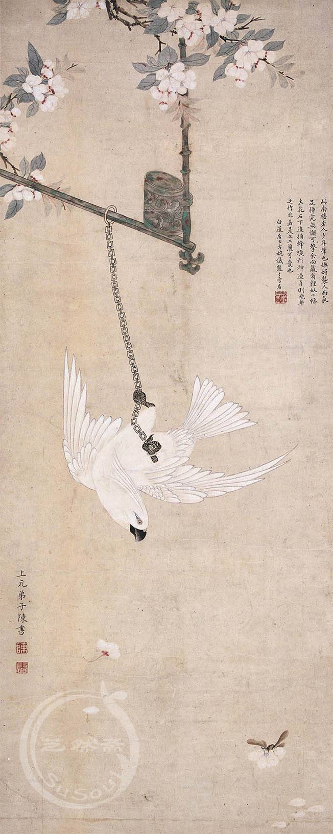 陈书 《白隼图》
