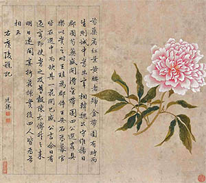 蒋廷锡 《芍药金带围》