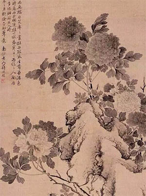 蒋廷锡 《水墨牡丹》