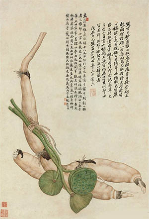陈枚 《藕宝图》