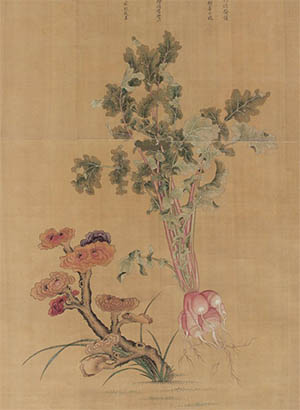 蒋廷锡 《莱菔灵芝》
