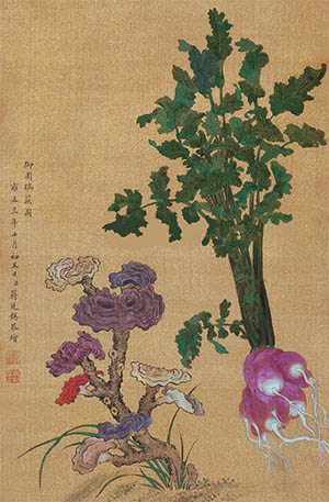 蒋廷锡 《御园瑞蔬图》