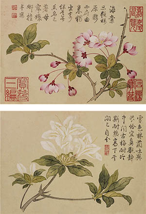 钱维城 《花卉》册页八帧