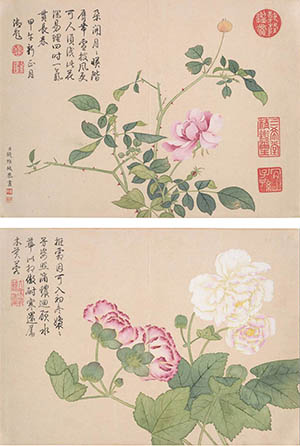 钱维城 《花卉》册页六帧