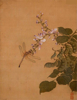 沈铨 《扁豆花蜻蜓》