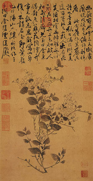 陈淳  《茉莉》