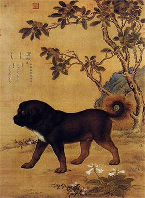 郎世宁 《十骏犬 苍猊》