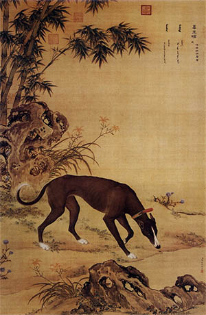 郎世宁 《十骏犬 墨玉璃》