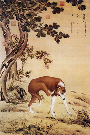 郎世宁 《十骏犬 金翅猃》