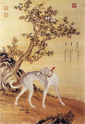 郎世宁 《十骏犬 苍水虬》